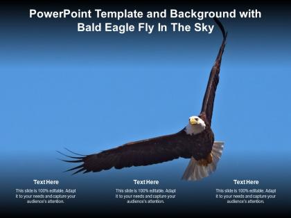 Powerpoint template and background with bald eagle fly in the sky