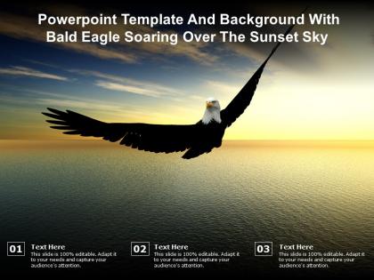 Powerpoint template and background with bald eagle soaring over the sunset sky