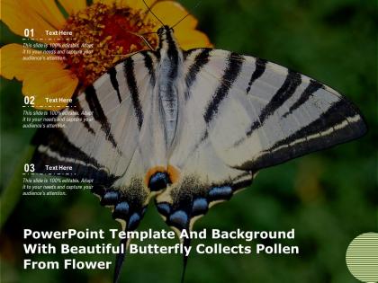 Powerpoint template and background with beautiful butterfly collects pollen from flower