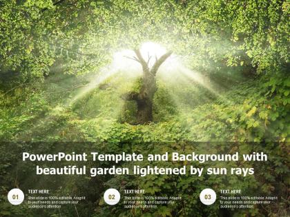 Powerpoint template and background with beautiful garden lightened by sun rays
