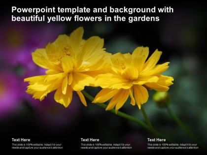 Powerpoint template and background with beautiful yellow flowers in the gardens