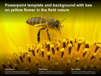 Powerpoint template and background with bee on yellow flower in the field nature