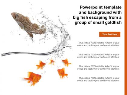Powerpoint template and background with big fish escaping from a group of small goldfish