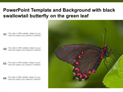 Powerpoint template and background with black swallowtail butterfly on the green leaf