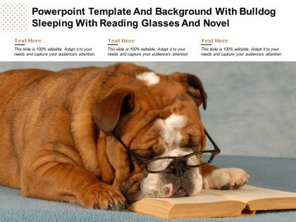 Powerpoint template and background with bulldog sleeping with reading glasses and novel