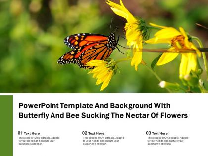 Powerpoint template and background with butterfly and bee sucking the nectar of flowers
