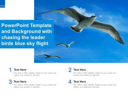 Powerpoint template and background with chasing the leader birds blue sky flight