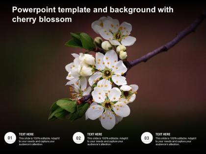 Powerpoint template and background with cherry blossom