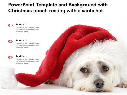 Powerpoint template and background with christmas pooch resting with a santa hat