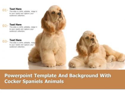 Powerpoint template and background with cocker spaniels animals