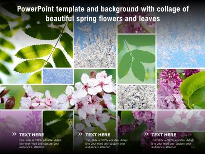 Powerpoint template and background with collage of beautiful spring flowers and leaves