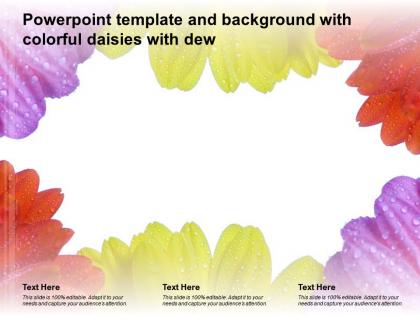Powerpoint template and background with colorful daisies with dew