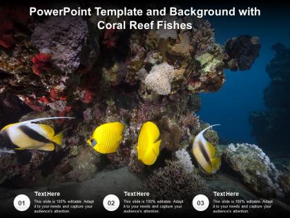 Powerpoint template and background with coral reef fishes