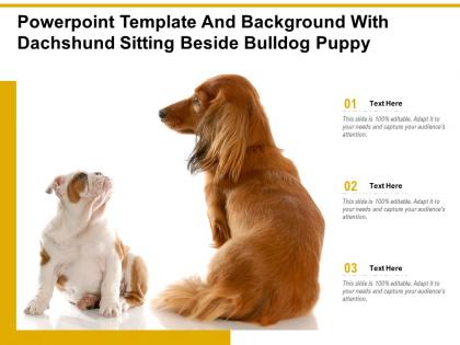 Powerpoint template and background with dachshund sitting beside bulldog puppy