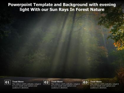 Powerpoint template and background with evening light with our sun rays in forest nature