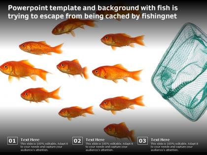 Powerpoint template and background with fish is trying to escape from being cached by fishingnet