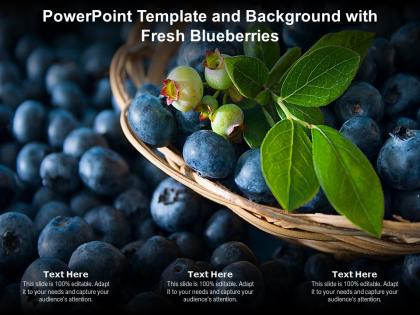 Powerpoint template and background with fresh blueberries
