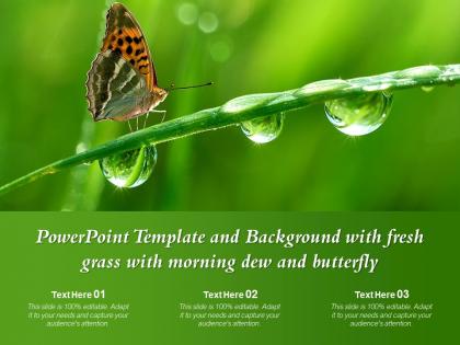 Powerpoint template and background with fresh grass with morning dew and butterfly