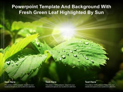 Powerpoint template and background with fresh green leaf highlighted by sun