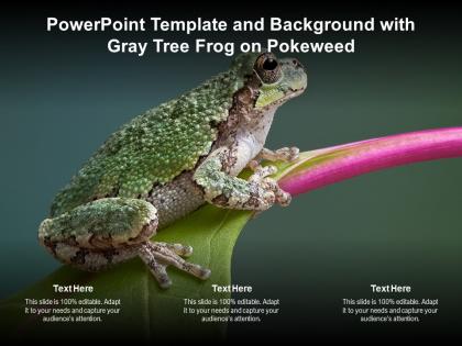 Powerpoint template and background with gray tree frog on pokeweed