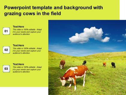Powerpoint template and background with grazing cows in the field