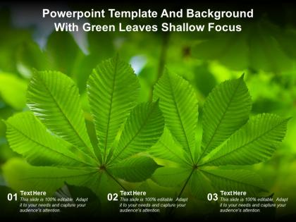 Powerpoint template and background with green leaves shallow focus