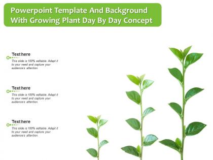 Powerpoint template and background with growing plant day by day concept