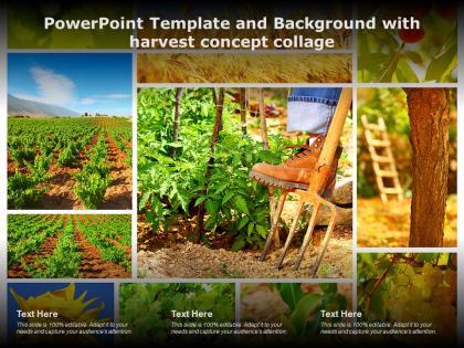Powerpoint template and background with harvest concept collage