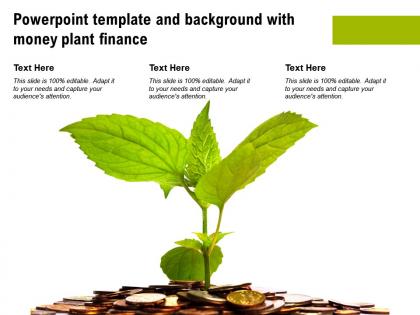 Powerpoint template and background with money plant finance