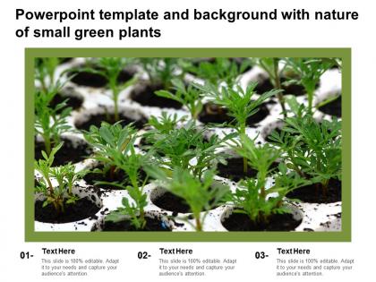 Powerpoint template and background with nature of small green plants