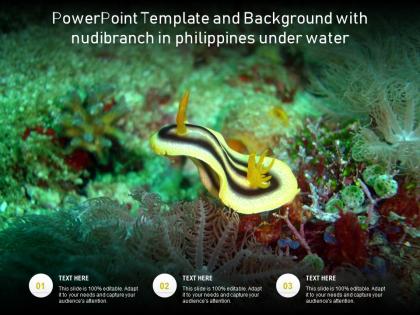 Powerpoint template and background with nudibranch in philippines under water