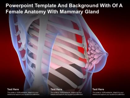 Powerpoint template and background with of a female anatomy with mammary gland