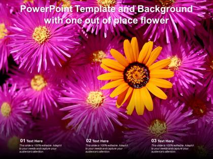 Powerpoint template and background with one out of place flower