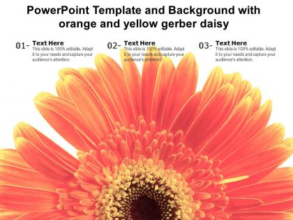 Powerpoint template and background with orange and yellow gerber daisy