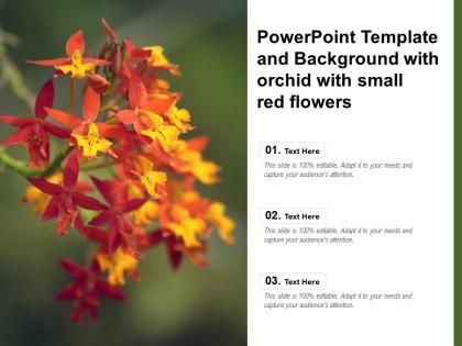 Powerpoint template and background with orchid with small red flowers