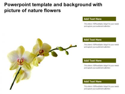 Powerpoint template and background with picture of nature flowers