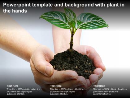 Powerpoint template and background with plant in the hands