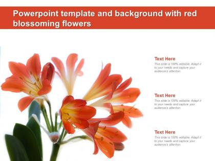 Powerpoint template and background with red blossoming flowers
