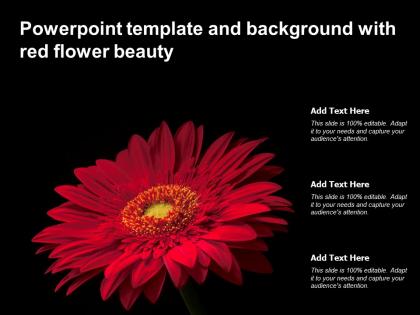 Powerpoint template and background with red flower beauty
