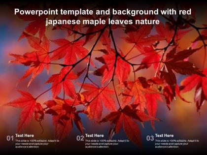 Powerpoint template and background with red japanese maple leaves nature