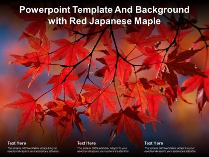 Powerpoint template and background with red japanese maple