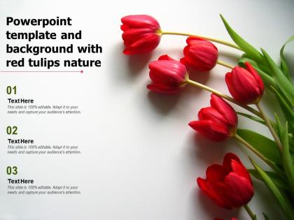 Powerpoint template and background with red tulips nature