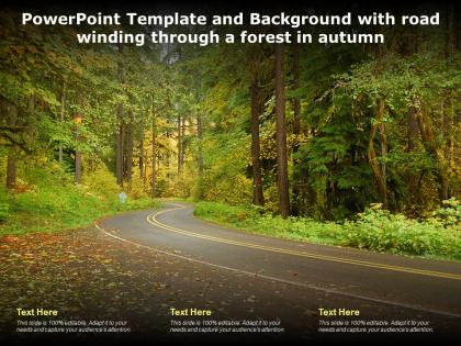 Powerpoint template and background with road winding through a forest in autumn