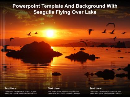 Powerpoint template and background with seagulls flying over lake