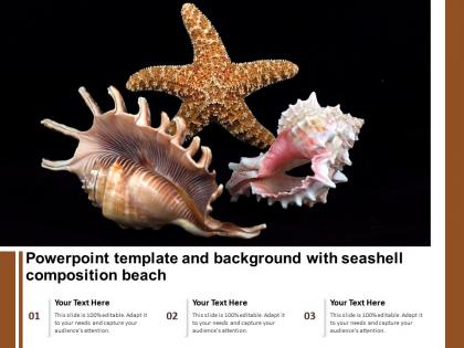 Powerpoint template and background with seashell composition beach