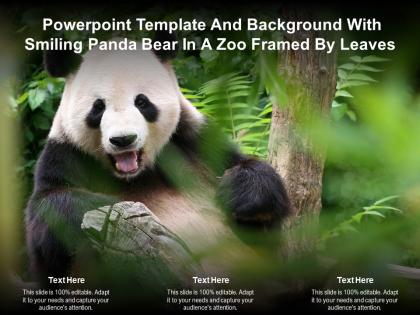 Powerpoint template and background with smiling panda bear in a zoo framed by leaves