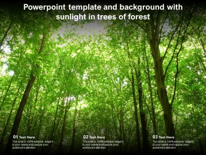Powerpoint template and background with sunlight in trees of forest