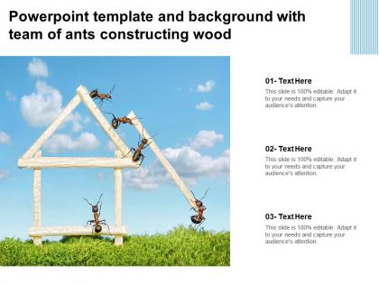 Powerpoint template and background with team of ants constructing wood