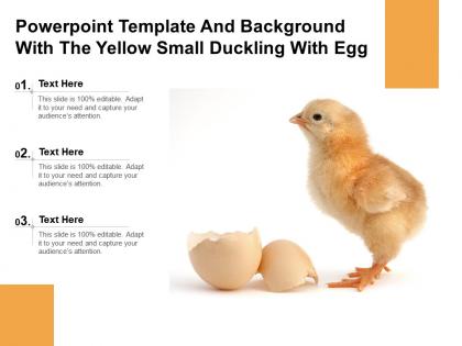 Powerpoint template and background with the yellow small duckling with egg