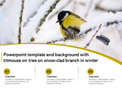 Powerpoint template and background with titmouse on tree on snow clad branch in winter